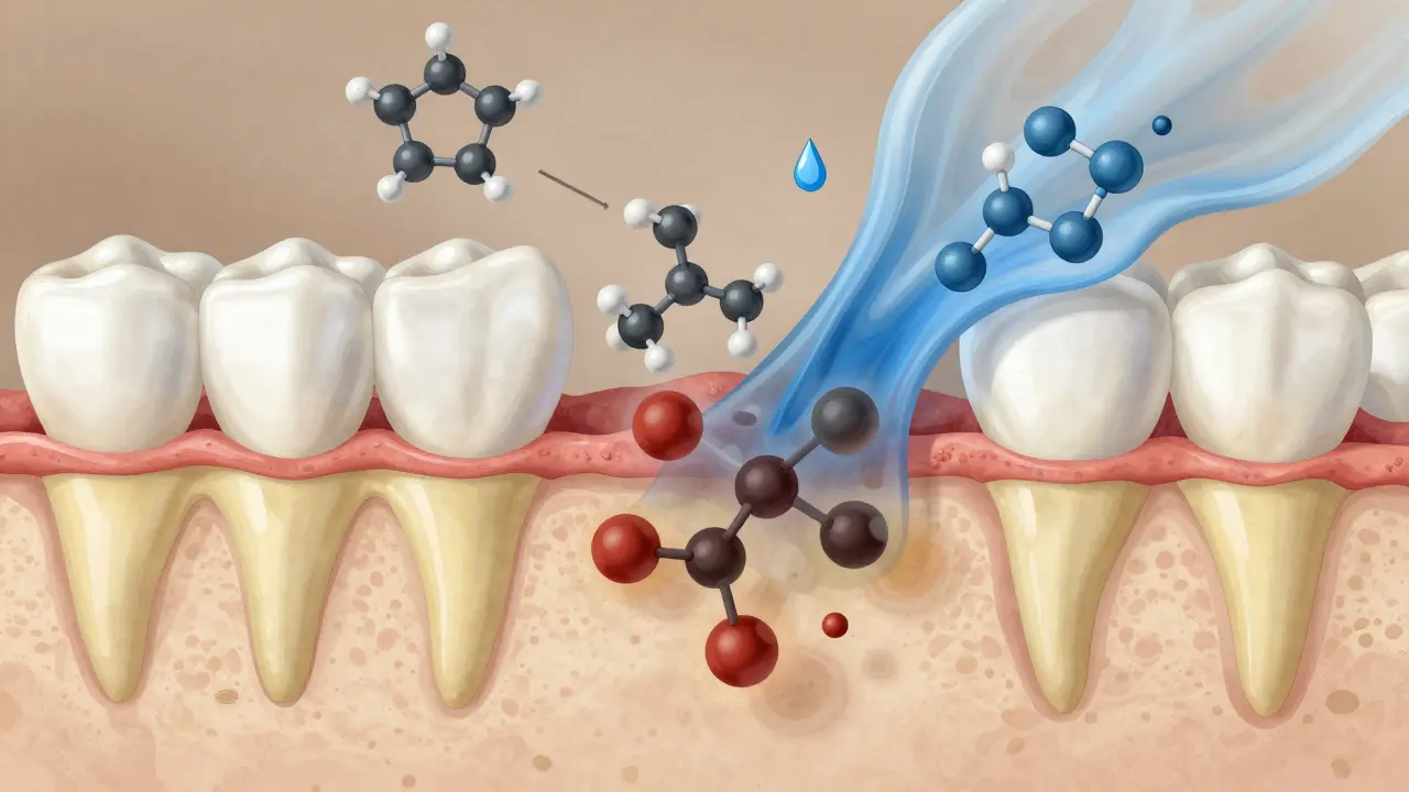 Průřez zubu ukazující emal a dentin s rozkladem barviv peroxidem
